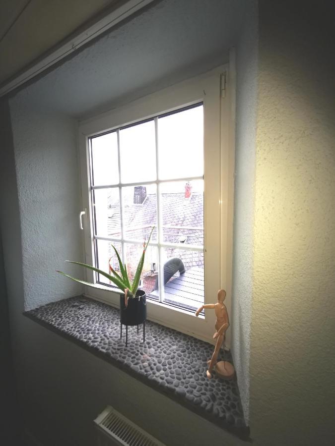 Mooi Ruim Appartement In Antieke Stadsboerderij Schonecken ภายนอก รูปภาพ