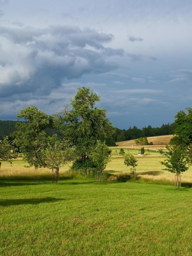 Mooi Ruim Appartement In Antieke Stadsboerderij Schonecken ภายนอก รูปภาพ